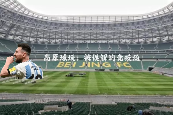 高原球场:被误解的竞技场